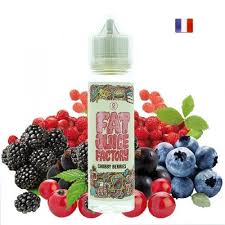 Chubby Berries 50ml Fat Juice Factory by Pulp